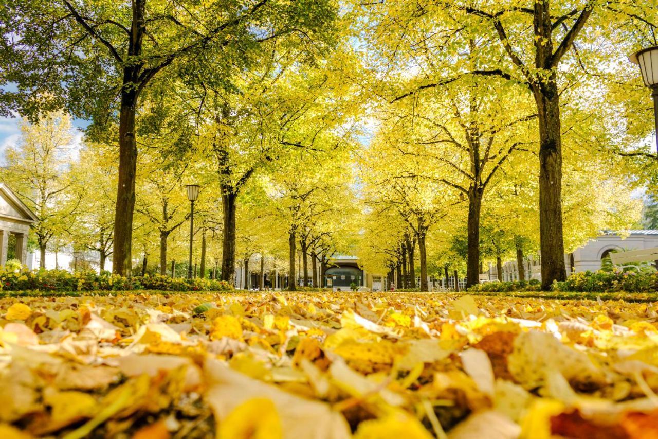 Laudensacks Parkhotel & Retreat Bad Kissingen Zewnętrze zdjęcie